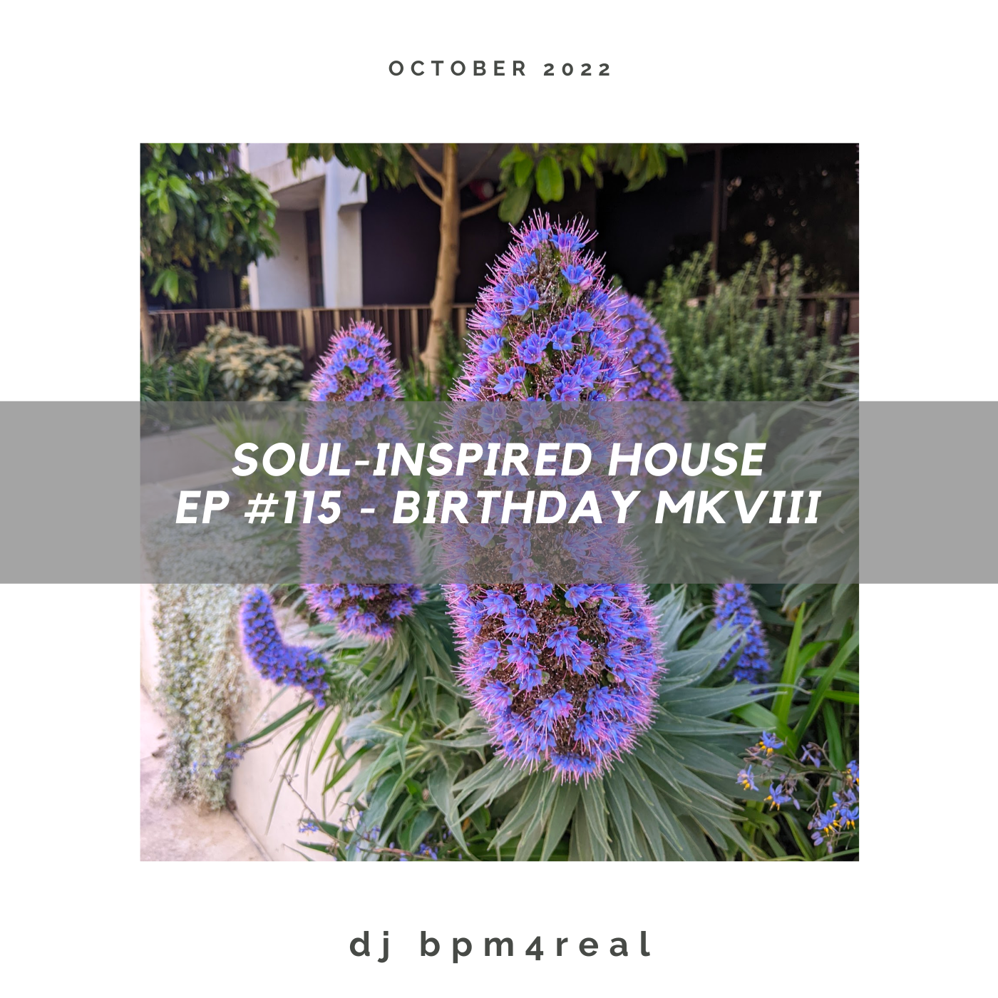 Soul Inspired House EP #115 - Birthday MkVIII - Oct 2022